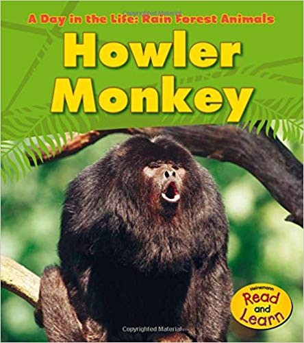 Animale din padurea tropicala