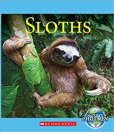 Animale din padurea tropicala