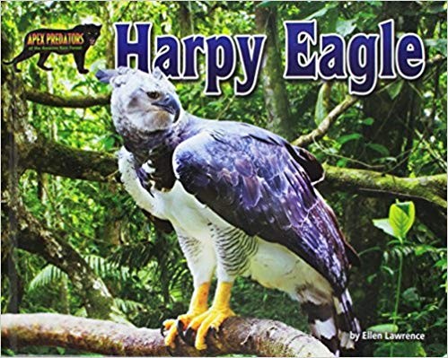 Animale din padurea tropicala