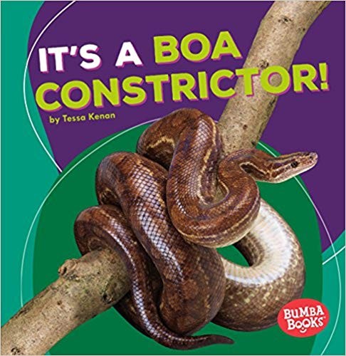 Animale din padurea tropicala