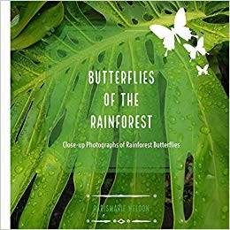 Animale din padurea tropicala